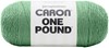 Picture of Caron One Pound Yarn-Grassy Meadow