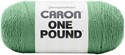 Picture of Caron One Pound Yarn-Grassy Meadow