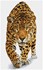 Picture of Diamond Dotz Diamond Embroidery Facet Art Kit 20.47"X12.6"-On The Prowl